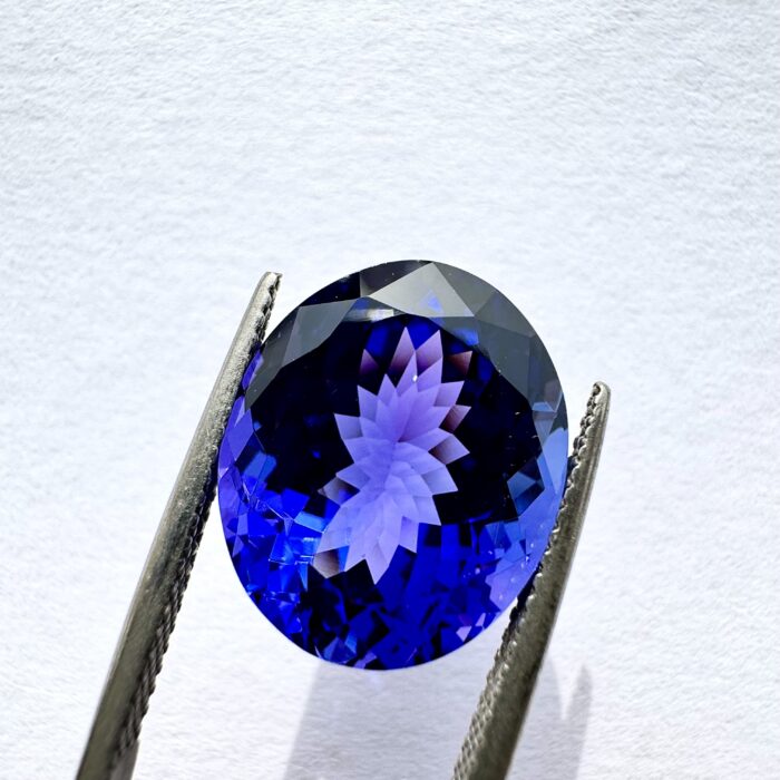 Tanzanite Oval 9.77 CT AAA