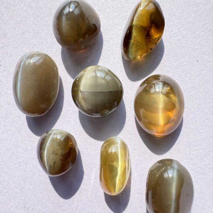 Sri Lankan Cats Eye Cabochon 31.58 / 8 Piece